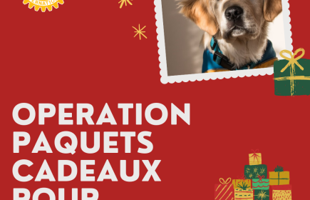 Opération Paquets Cadeaux pour HANDICHIEN