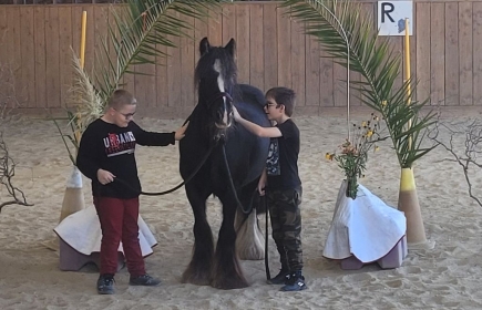 Le tournoi de Golf a permis l'achat d'un nouveau Poney à l'équitherapie de Kerpape.