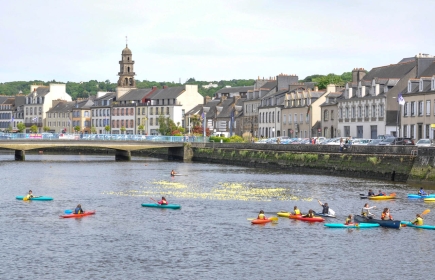 Canards sur l'Elorn